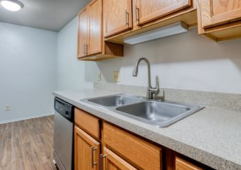 A kitchen with a sink and a dishwasher.